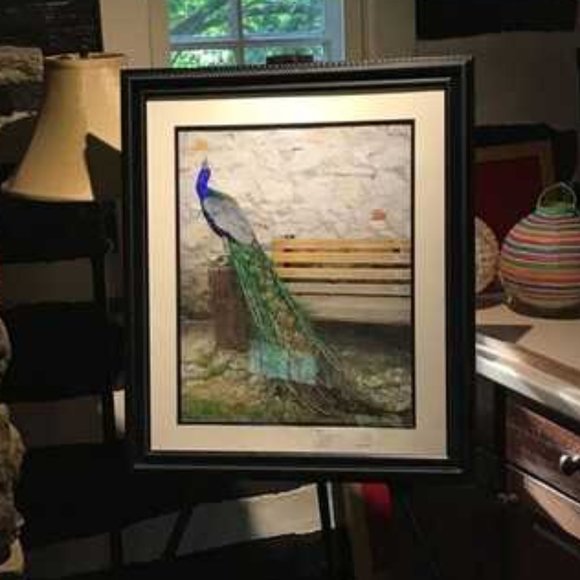 Signed Original Photograph of Peacock, Size 16' x 20", without a frame